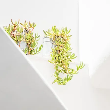 Agave Santorini Design Boutique Имеровигли